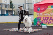 IMG_6632.jpg