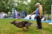dogarea-otradnoe_055.JPG