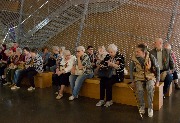 IMG_2348.jpg