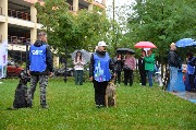 dogarea-otradnoe_049.JPG