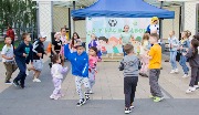 IMG_6731.jpg