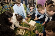 IMG_1961.jpg