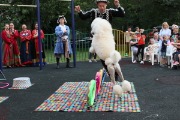 IMG_8481.jpg