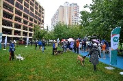 dogarea-otradnoe_146.JPG