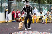 IMG_6533.jpg