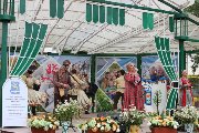 IMG_8209.jpg
