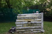 IMG_9967.jpg