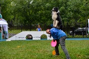 dogarea-otradnoe_131.JPG