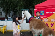 IMG_0041.jpg
