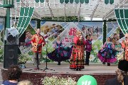 IMG_6276.jpg