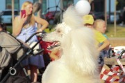 IMG_7733.jpg