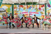 IMG_7949.jpg