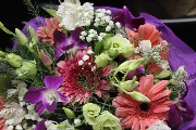 IMG_5668.jpg