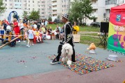 IMG_9401.jpg
