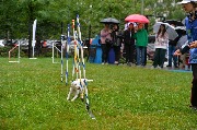 dogarea-otradnoe_089.JPG