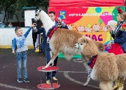 IMG_0032.jpg