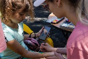 IMG_6369.JPG