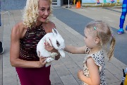 IMG_4992.JPG