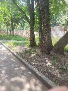 20230706_143508.jpg