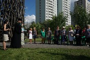 DSC08740.jpg