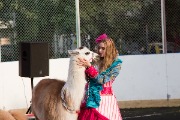 IMG_8517.jpg