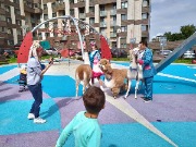IMG_20200815_124205.jpg