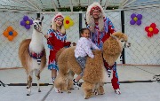 IMG_2453.JPG