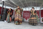IMG_7545.JPG