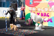 IMG_9703.jpg
