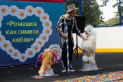 IMG_3957.jpg