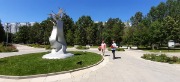 20200622_121122.jpg