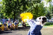 IMG_8538.JPG