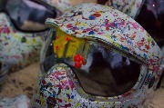 IMG_3740.JPG