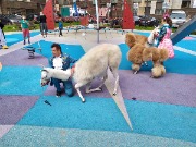 IMG_20200815_123239.jpg