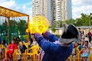 IMG_5273.JPG