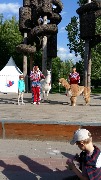 IMG-20180531-WA0020.jpg