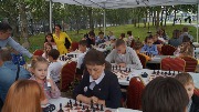 DSC09294.JPG