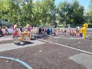 IMG_20200810_122620.jpg