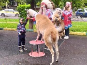 IMG_20200813_123139.jpg