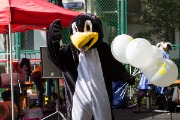 IMG_7054.jpg