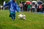 dogarea-otradnoe_078.JPG