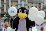 IMG_7945.jpg