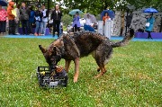 dogarea-otradnoe_063.JPG