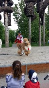 IMG-20180531-WA0014.jpg