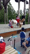IMG-20180531-WA0021.jpg