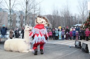 IMG_4248.JPG