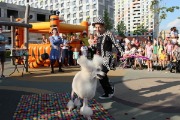 IMG_7716.jpg