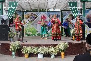 IMG_6242.jpg