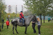 IMG_6609.jpg