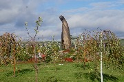 DSC02563.JPG